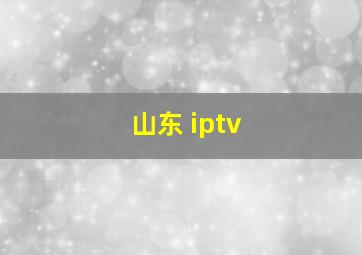 山东 iptv